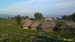 Rural landscape of Village