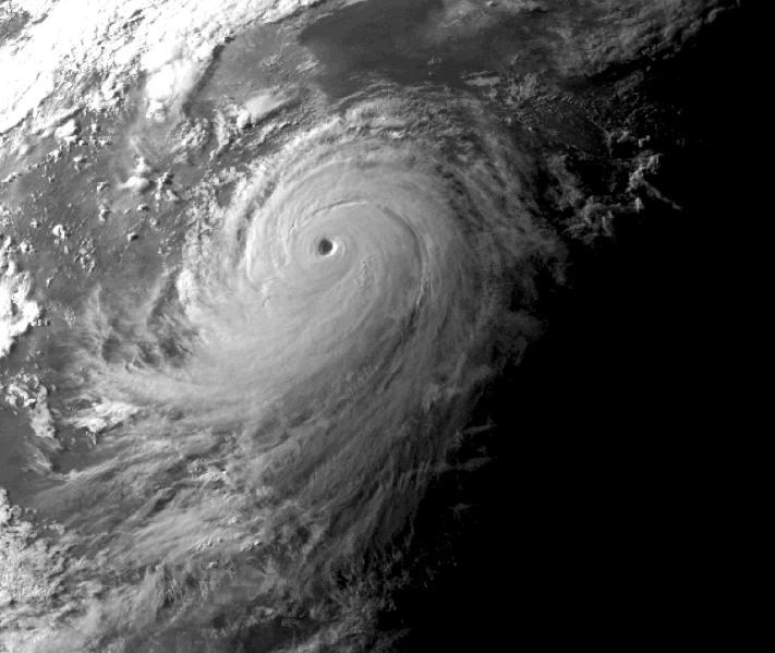 File:Typhoon Herb.gif