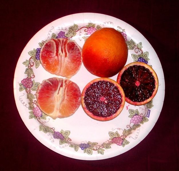 File:Blood oranges.jpg