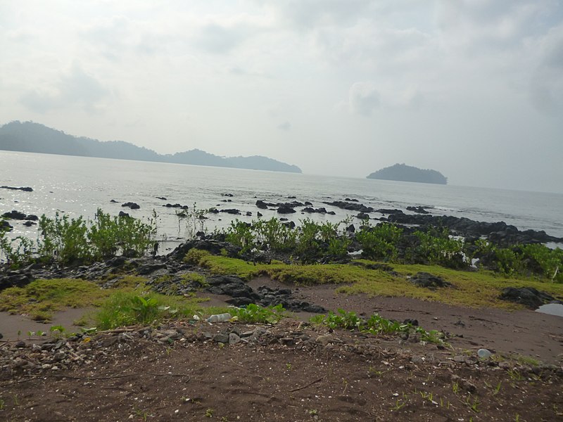 File:Bota Beach, Limbe.jpg