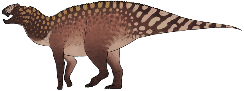 File:Coahuilasaurus lipani.png