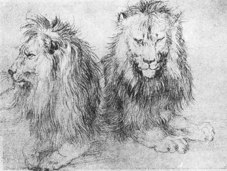 File:Durer lions (sketch).jpg