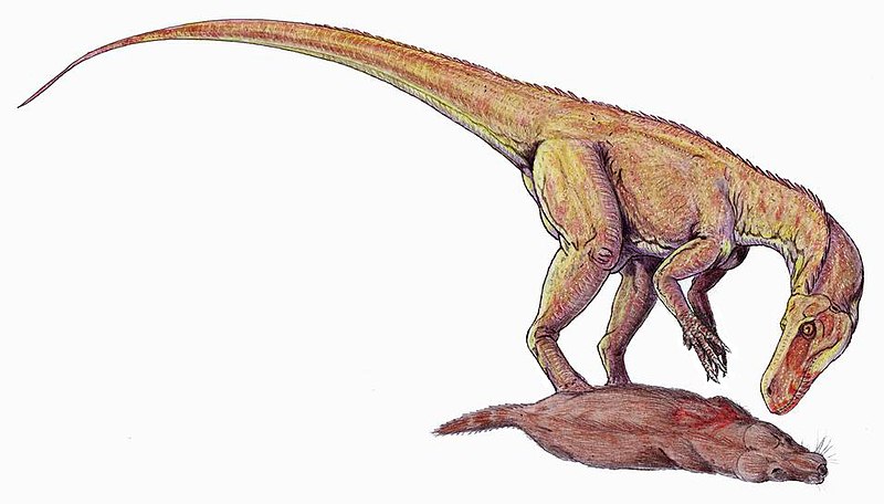 File:Herrerasaurus DB.jpg