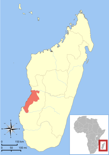 Archivo:Lepilemur ruficaudatus range map.svg