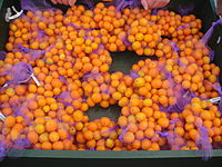 Bags of kumquat for sale at the Kumquat Festival