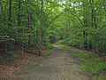 South Orenda Road in Prince William Forest Park