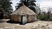 Thatching Algerian Desert.jpg