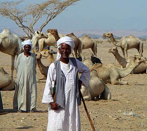 Beja Bedouins