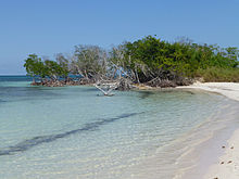 Cayo Jutías-Mangrove (4).jpg