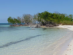 A view of the island of Cayo Jutías, part of the municipality and of the Colorados Archipelago