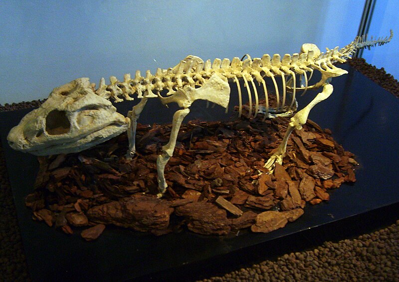 Archivo:Comahuesuchus.jpg