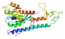 Protein RAB3A PDB 1zbd.png