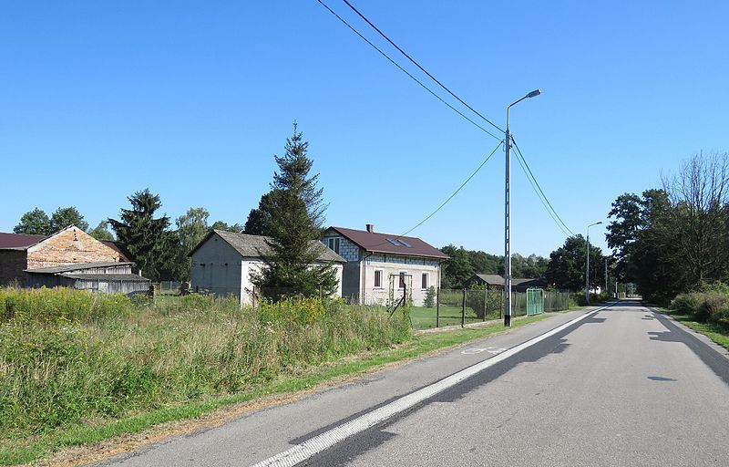 File:TRUSKAWKA 03.jpg