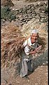 A villager of Shaidu Trying to find gold on sea side.