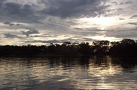 Lago Yarinacocha