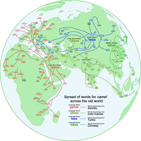 File:CamelWanderwörter.png