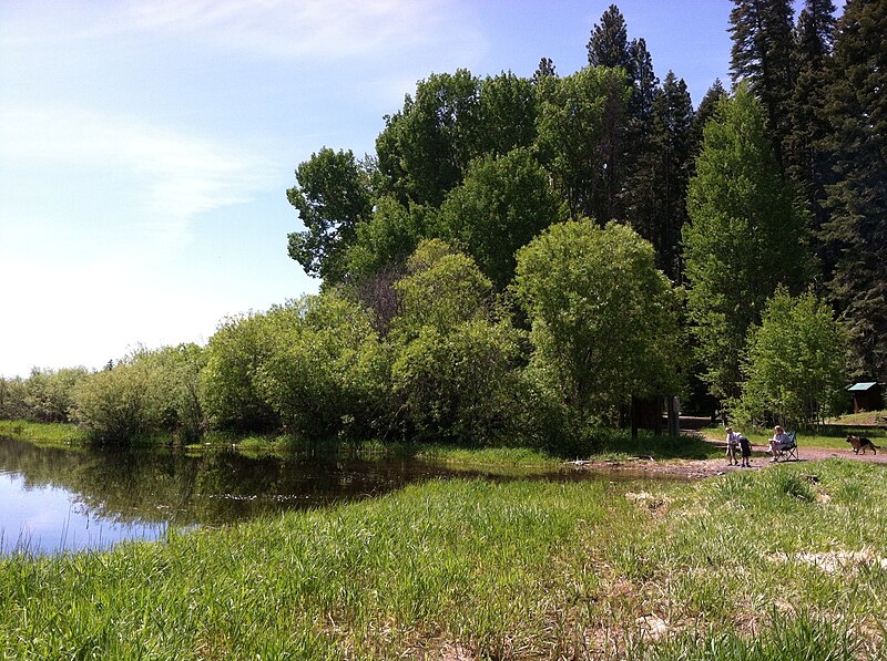 File:Malone spring boat launch.jpg