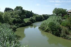 Река в нижнем течении, в коммуне Пезаро