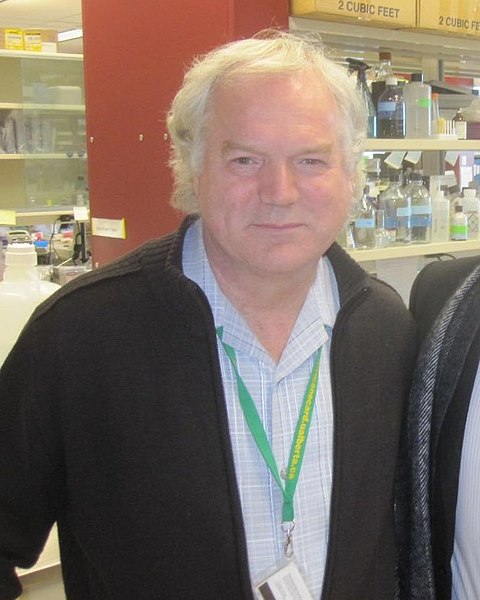 File:Prof Michael Houghton.jpg