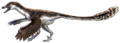 Velociraptor mongoliensis