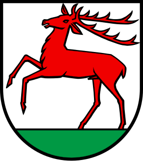 Файл:Wappen Hirschthal AG.svg