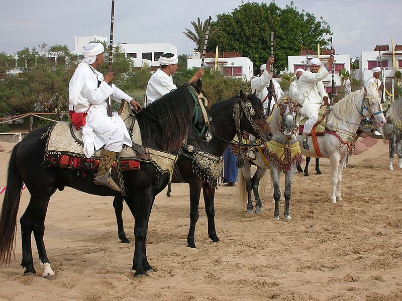 File:Berber warriors show.JPG