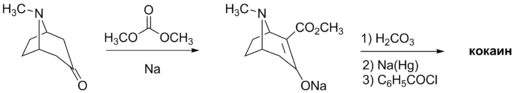 Синтез кокаина (Роберт Робинсон, 1917)