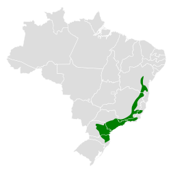 Distribución geográfica del tiluchí culipardo.