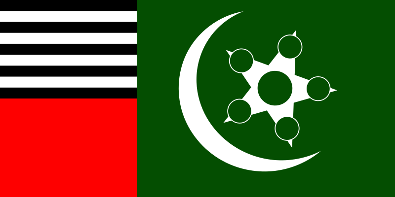 File:Flag of Sipah-e-Sahaba Pakistan.svg