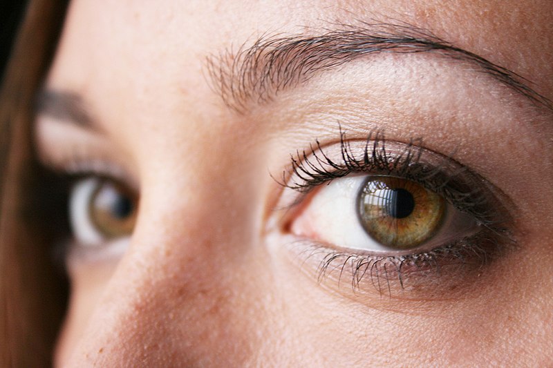 File:Hazel-green eye 2.jpg