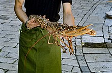 Photo of person holding a large, live lobster