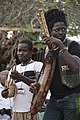 Harp in Cameroon