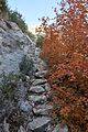 McKittrick Canyon Trail