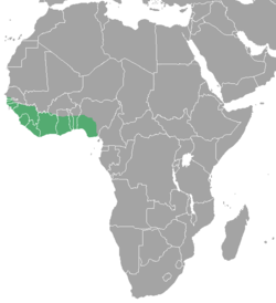 El mapa de distribución del duiker de Maxwell