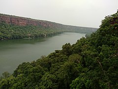 river,trees,forest