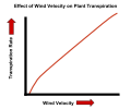 English: The effect of wind velocity on the transpiration rate of plants. Español: El efecto de la velocidad del viento sobre la transpiración en las plantas.