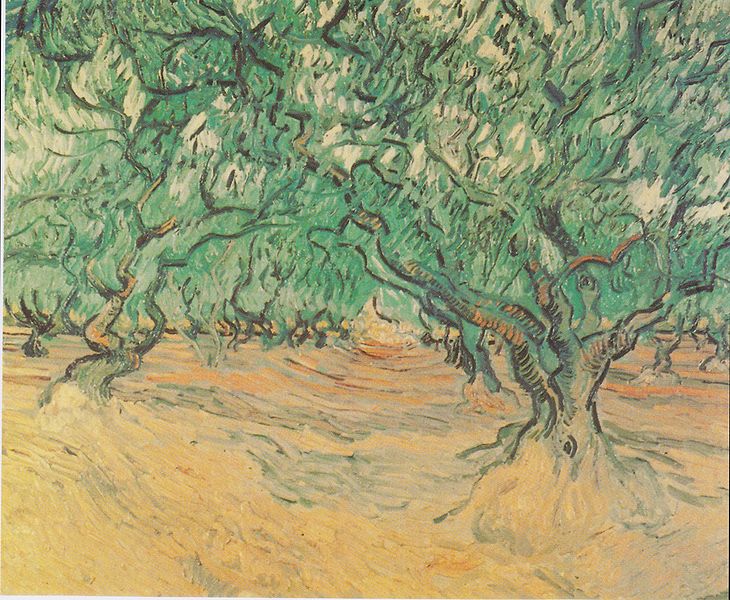 Archivo:Van Gogh - Olivenbäume.jpeg