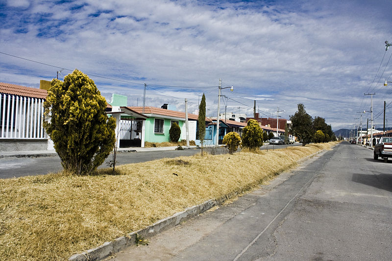 Archivo:Calle-pachuca-1.jpg