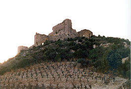 Laderas suaves de la zona este en Aguilar