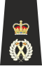 Chief Constable