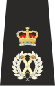 Chief Constable