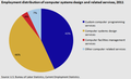 Employment distribution of computer systems design and related services, 2011[43]