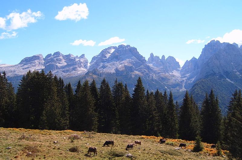 File:Dolomiti di Brenta.jpg