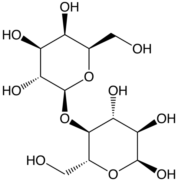 File:Lactose3.png