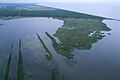 Image 46Aerial view of Louisiana's wetland habitats (from Louisiana)