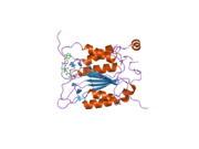 2hbq: Crystal structure of wildtype human caspase-1 in complex with 3-[2-(2-benzyloxycarbonylamino-3-methyl-butyrylamino)-propionylamino]-4-oxo-pentanoic acid (z-VAD-FMK)