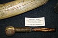 An early stone hammer