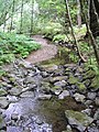 Image 7This stream operating together with its environment can be thought of as forming a river ecosystem. (from River ecosystem)