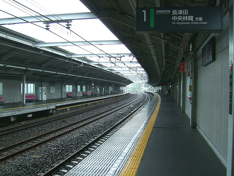 File:Tokyu-railway-den-en-toshi-line-Fujigaoka-station-platform.jpg