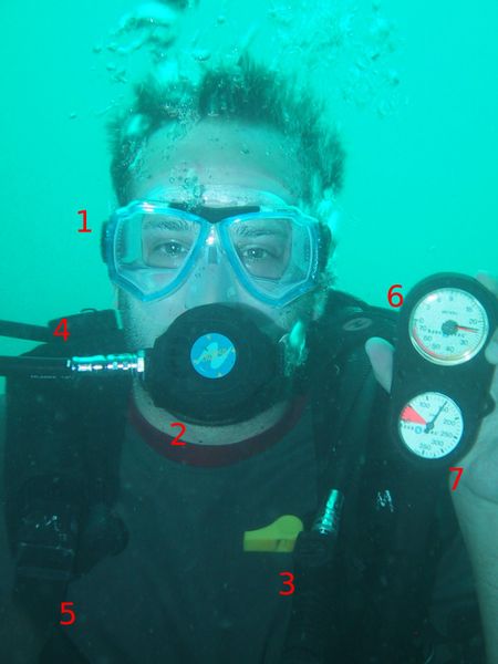 File:Typical diver charted.jpg